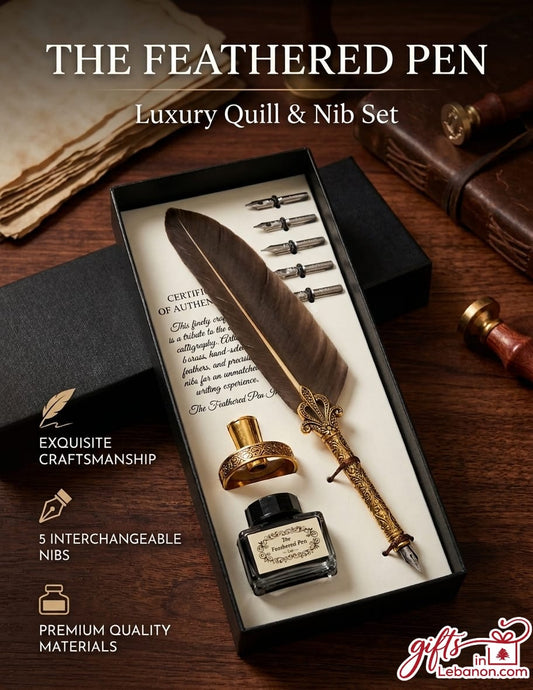 Luxury Feathered Quill and Calligraphy Nib Gift Set in Box