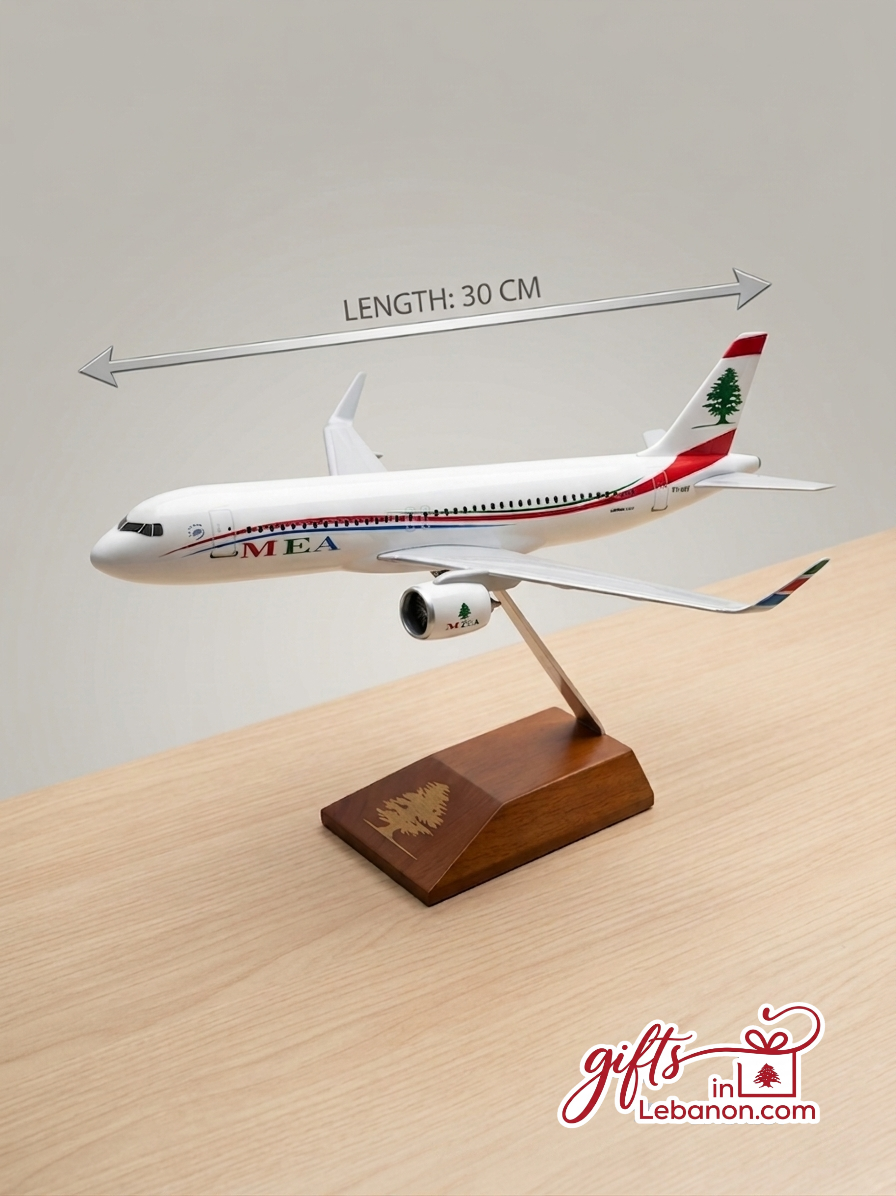 MEA Middle East Airlines 30cm Model Airplane on Wooden Stand